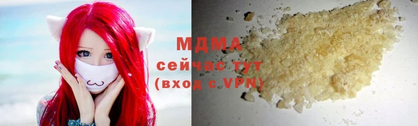 трава Няндома