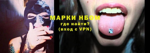 прущие грибы Нягань