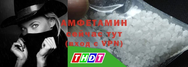 трава Няндома