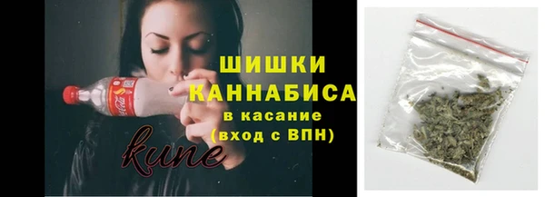 не бодяженный Новозыбков